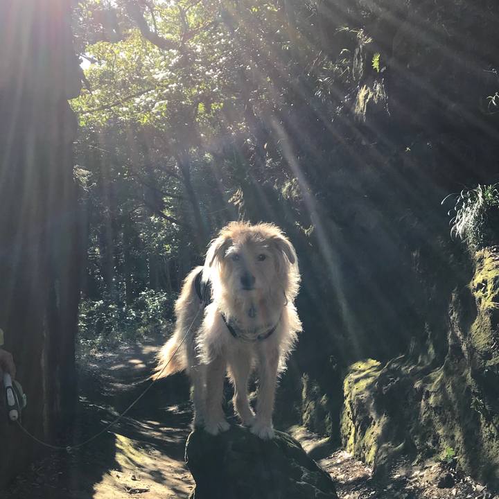 D0f5d3d5 740f 4d88 b9fe db03328d4ed2