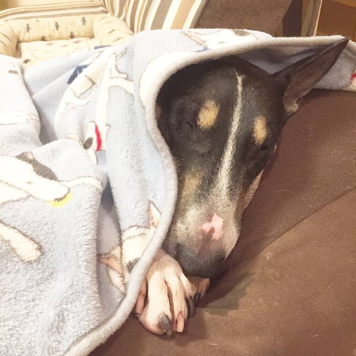 D0f5e6b3 3daf 47d5 8621 f42d6c55c16b