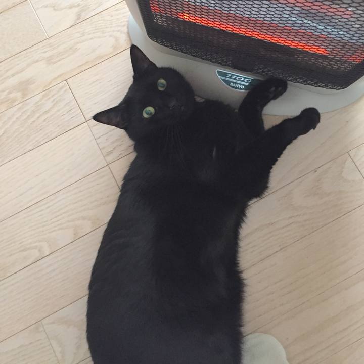 D0f63e74 1462 4407 9891 025976afd5a6