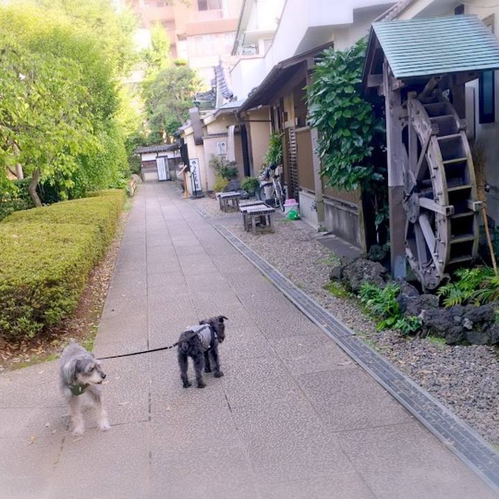 D0f676f0 f7ec 432f 8810 7e843575052e