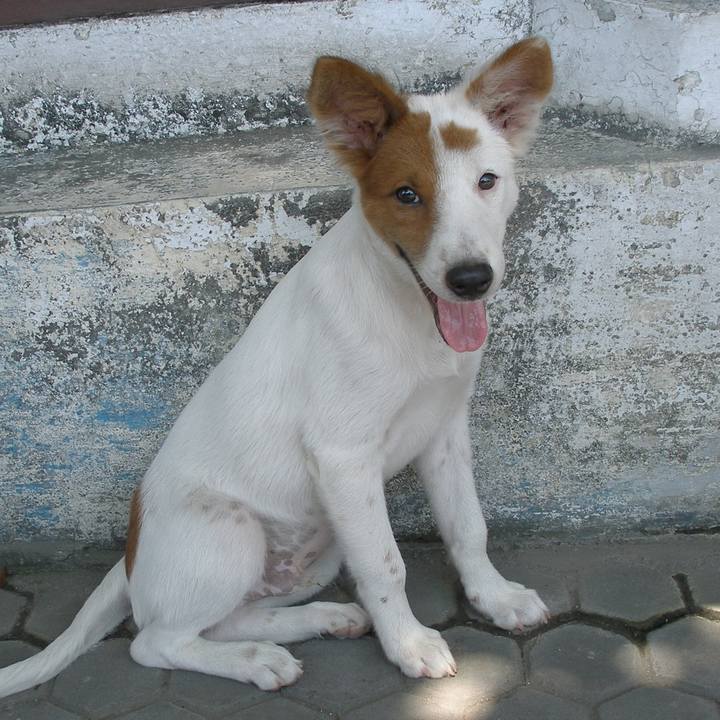 D0f68e94 2b56 49d8 81e8 5ddbf6cede5c