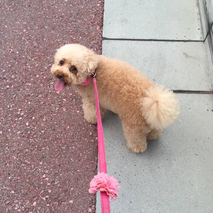 D0f6f724 c968 4275 98e5 32a5943d0e20