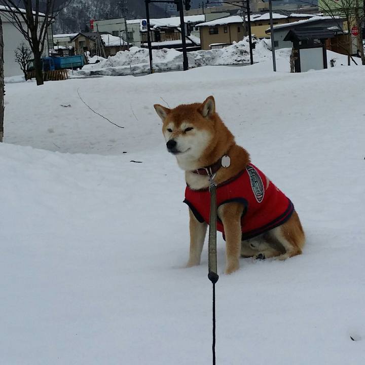 D0f72b74 44e4 494a 843a 8ea1d25d49f4