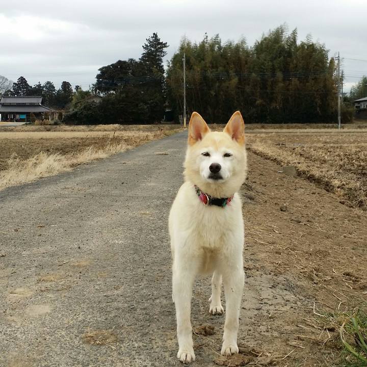 D0f72f15 f101 4486 955b fbbc7b668875