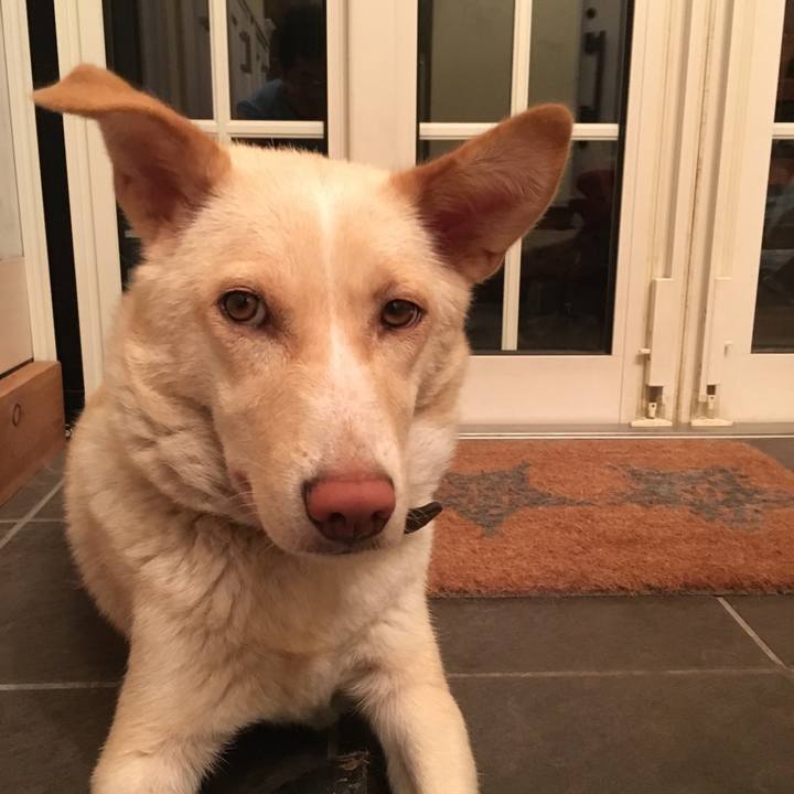 D0f74736 5e9b 4a45 a52a 47a33aac5c4a