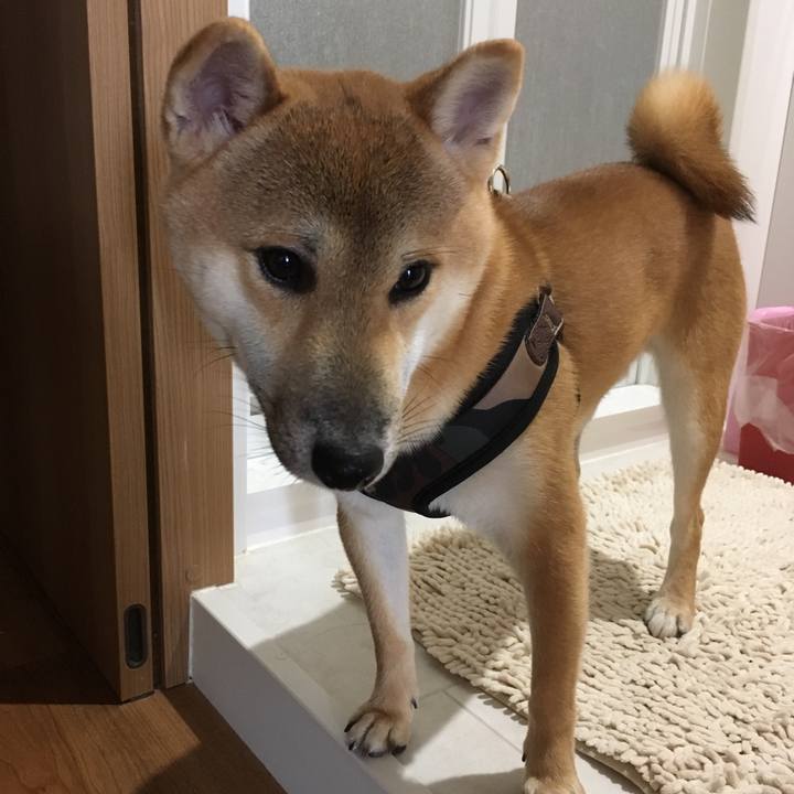 D0f7e1e0 a67e 4112 bb2b 5241d59b777e