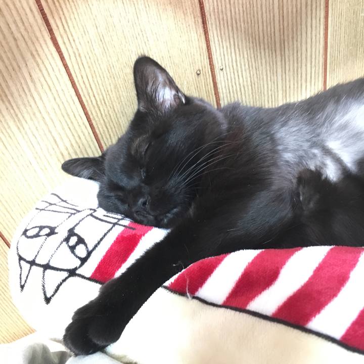 D0f85107 b805 45d4 9d3d 2957eb5d7ffc