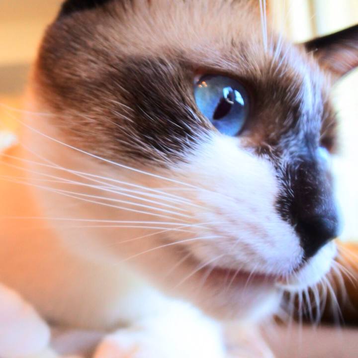 D0f87ba7 c2f3 43ff ad40 e5d0b30cfd41