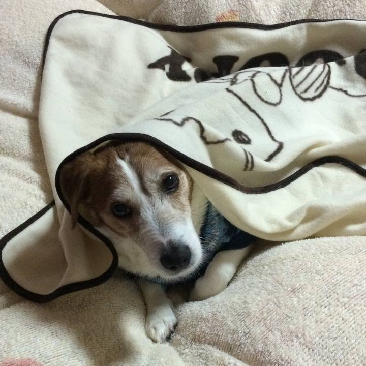 D0f8e135 5063 489e a246 562cc9c7a01d