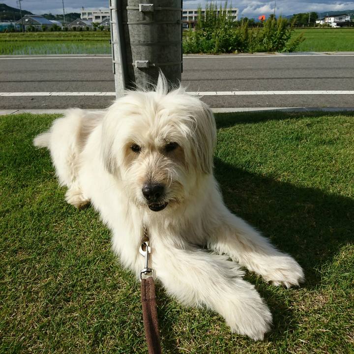 D0fa5a90 a78b 4f13 8596 d11200458dc4