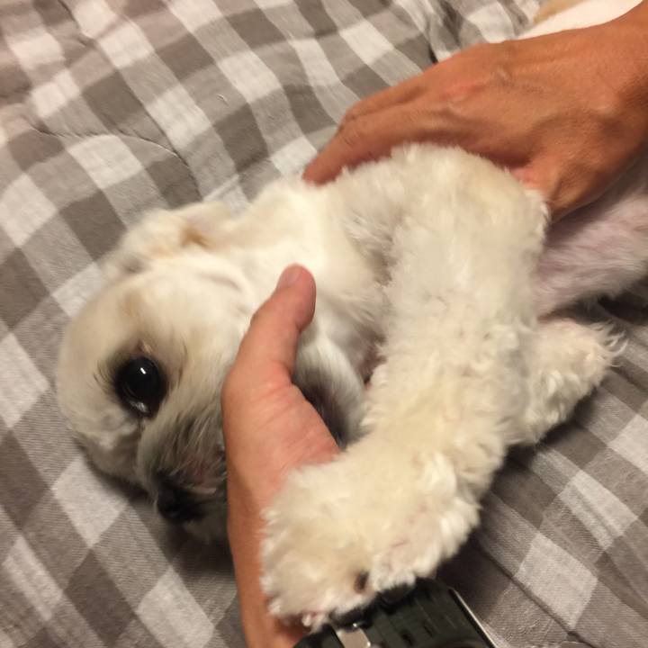 D0fa9205 70b2 4932 979b 99e268735ba5