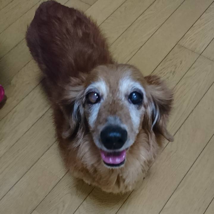 D0fbcfe1 703a 4aa2 9f32 99e423494f6c