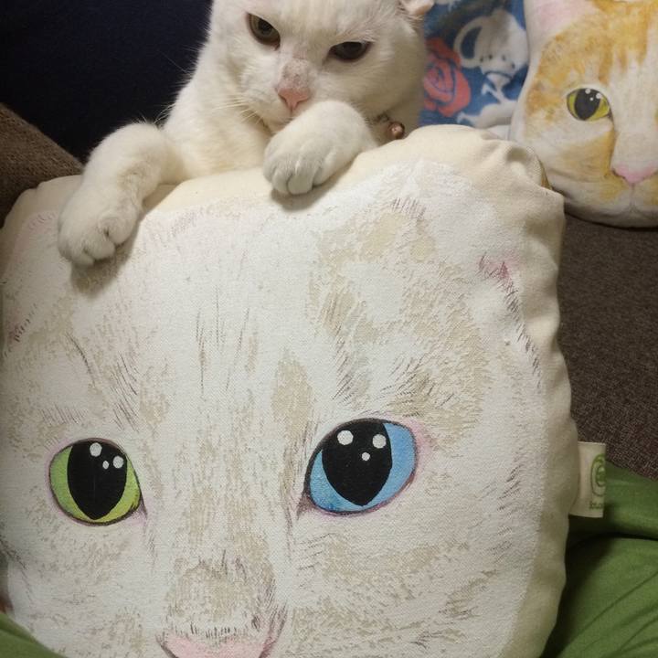 D0fc46b8 e210 4767 97e9 0c5e035ac0e9