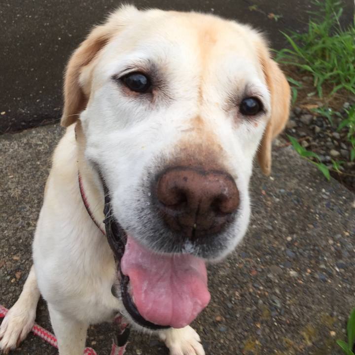 D0fc7d5b 871c 4c81 9660 57b041761524