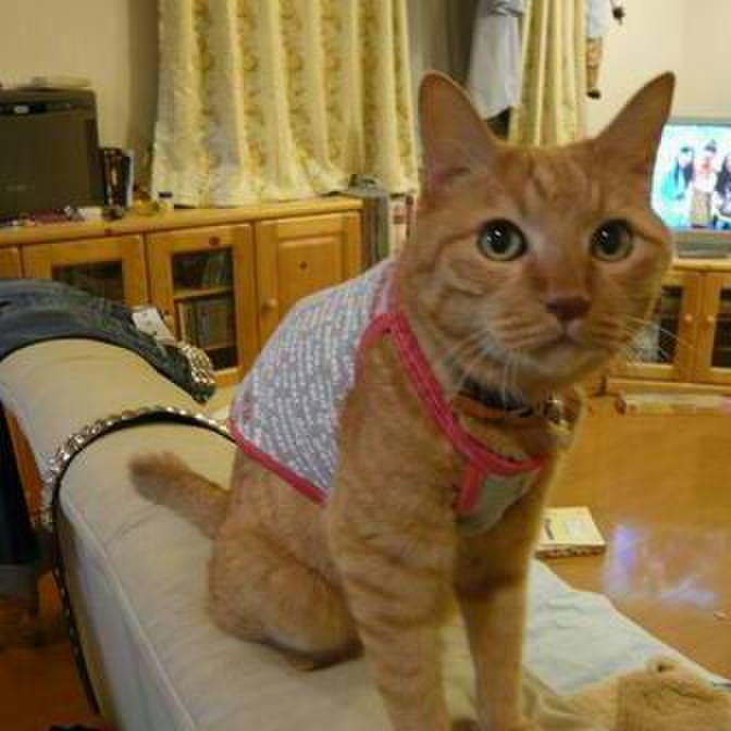 D0fd4e19 8211 4f2a b700 b3ef555fc670