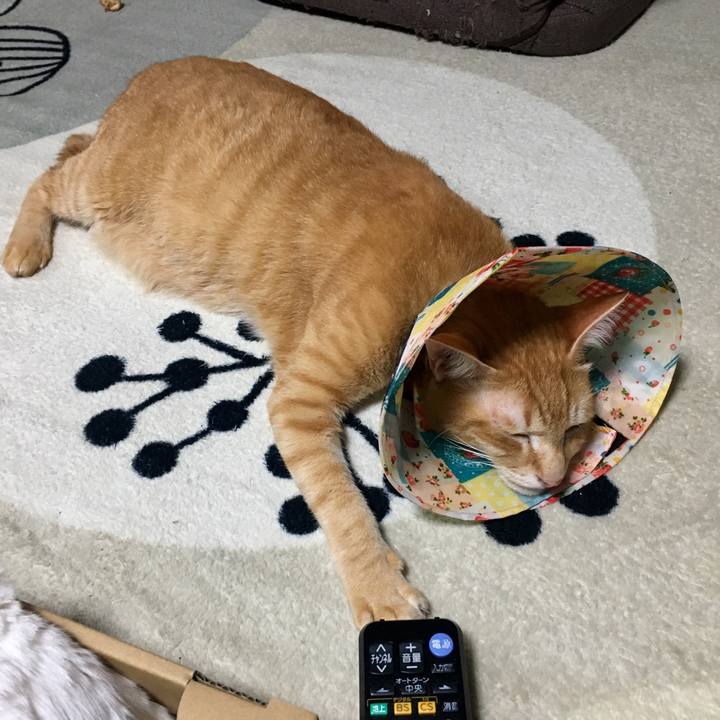 D0fd85b8 ca4d 4a7f bff5 f44010ab0dac