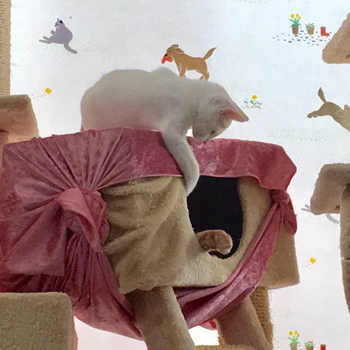 D0fd9254 6ccf 422b a549 3c41d5160512