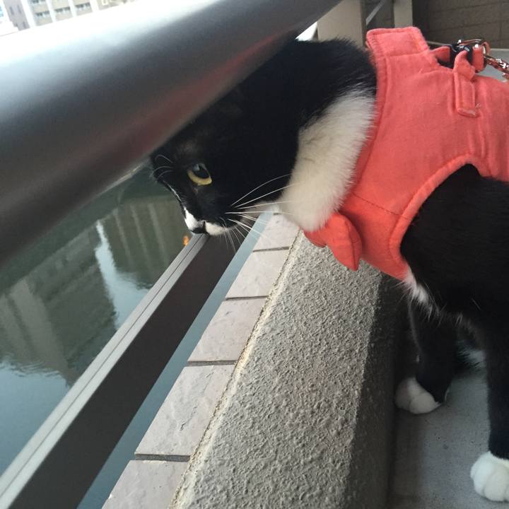 D0fe4659 e6ec 4e55 87f7 564466d6e6ac