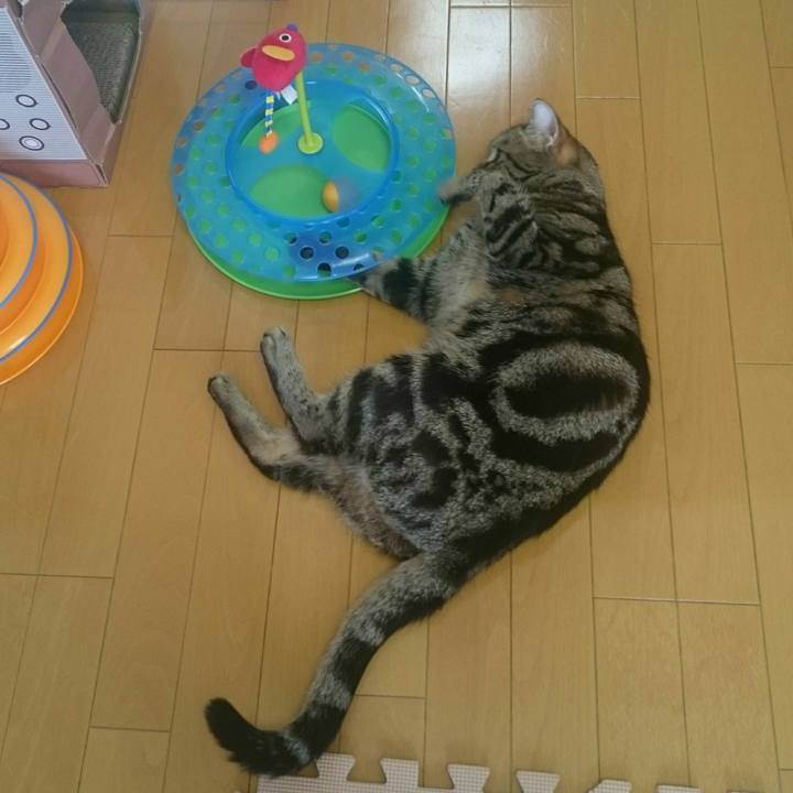 D1019c5d 3880 4fd9 9014 2ef7228478b1