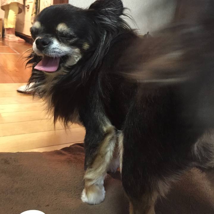 D1026091 8d75 455b 81a3 fa535b193cb8