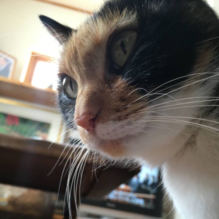 D1026e25 86c4 46ed b450 6ca3a212c368