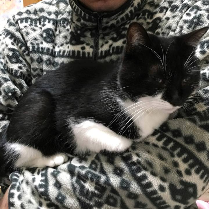 D102c354 4882 4ea2 97be 4fc340a9a7d7