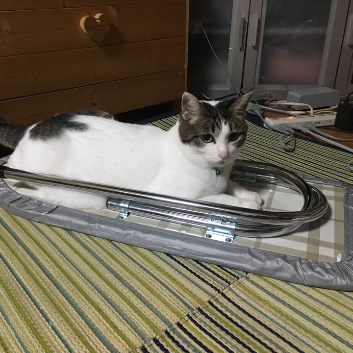 D103a178 f690 4040 aa5f 07f7216ff4d0