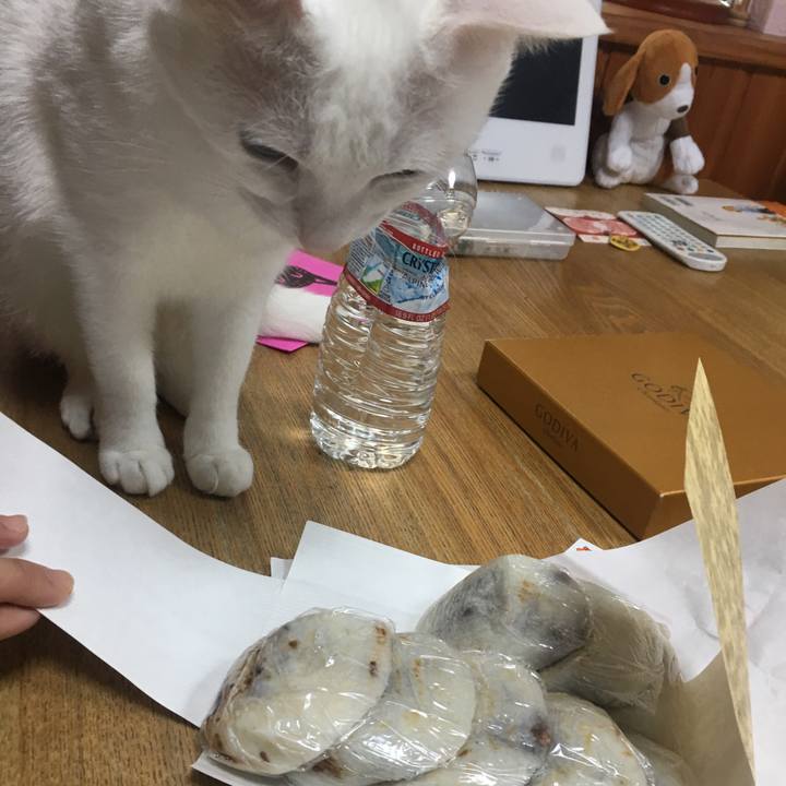 D1044131 309e 4a7b a6b0 f8bb4f8647f1