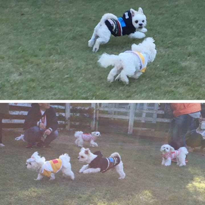 D10478b2 1786 4a5c b167 95c212a0e63c