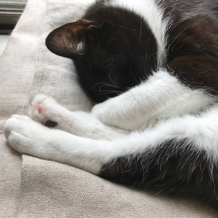 D1047db7 444f 4cb2 b1a4 7bb531df5792