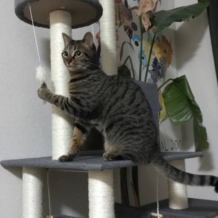 D10497ab 7036 479a b72a 154c4ac7c987