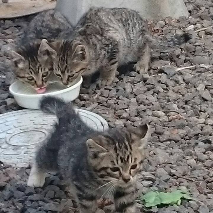 D1050b0e 7d4c 499d a5f1 e79333b19931