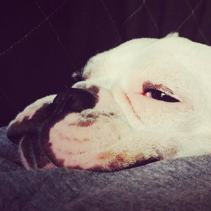 D106156f 95f3 49cf a1d6 c818b95aa9c7