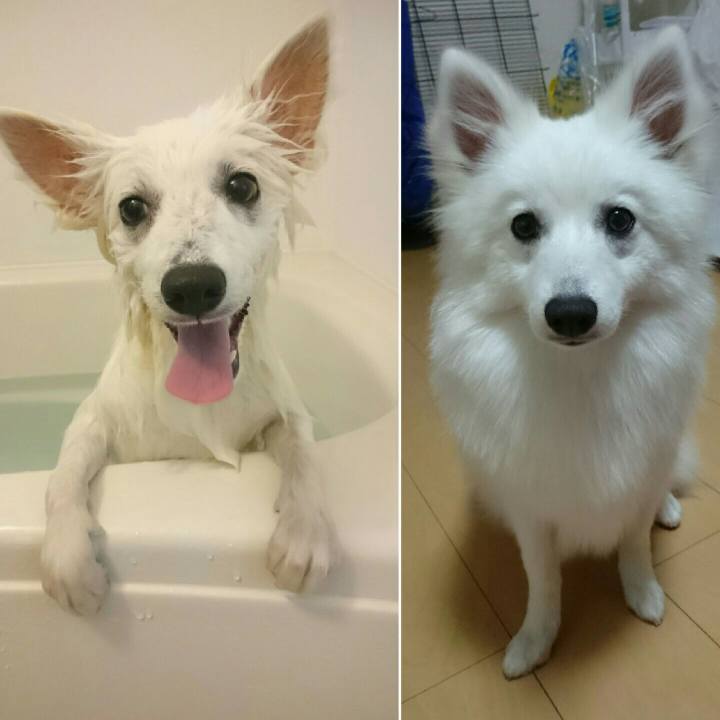 D1062458 4688 4541 9e64 58ee1ea0c445