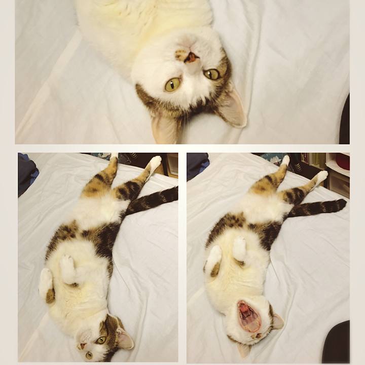 D106a29e e8ef 43e2 909a f69f6e20aa16