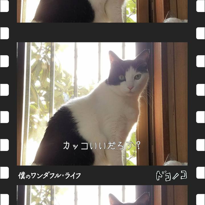 D107dc8b 9792 48af b745 c0350bfd6e97