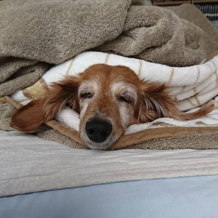 D107eb1b d05d 4b06 bf1e 3cfddc202da4