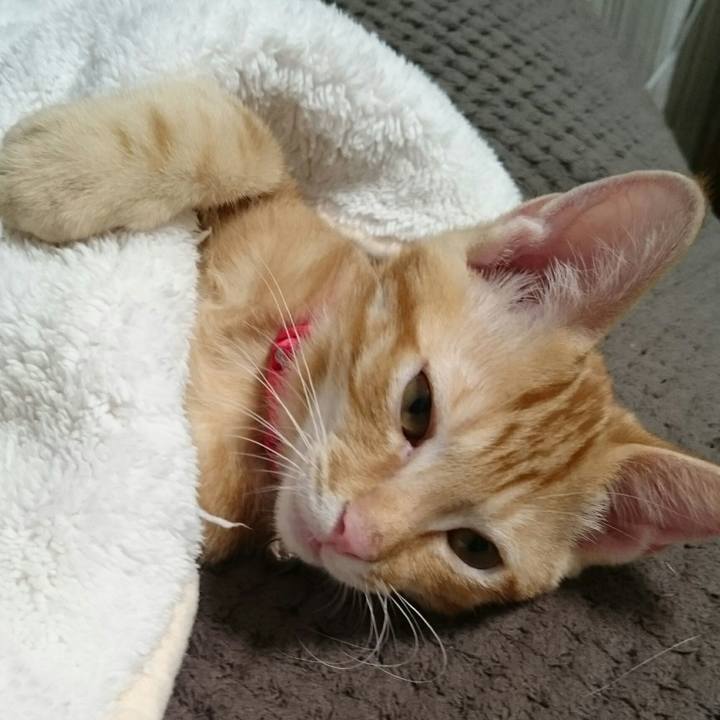 D10802c5 d8dc 4dde a211 6156db6d413a