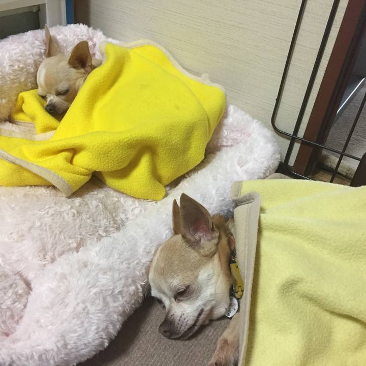 D10808e4 ba6a 4712 a5df d10cc945dff5