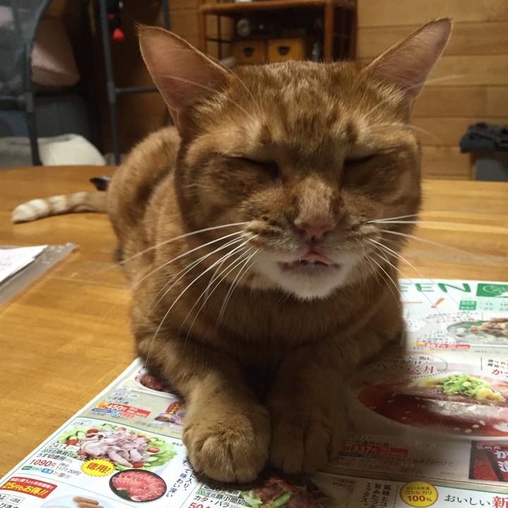 D1084150 362a 4750 9a4f 27155947c84d