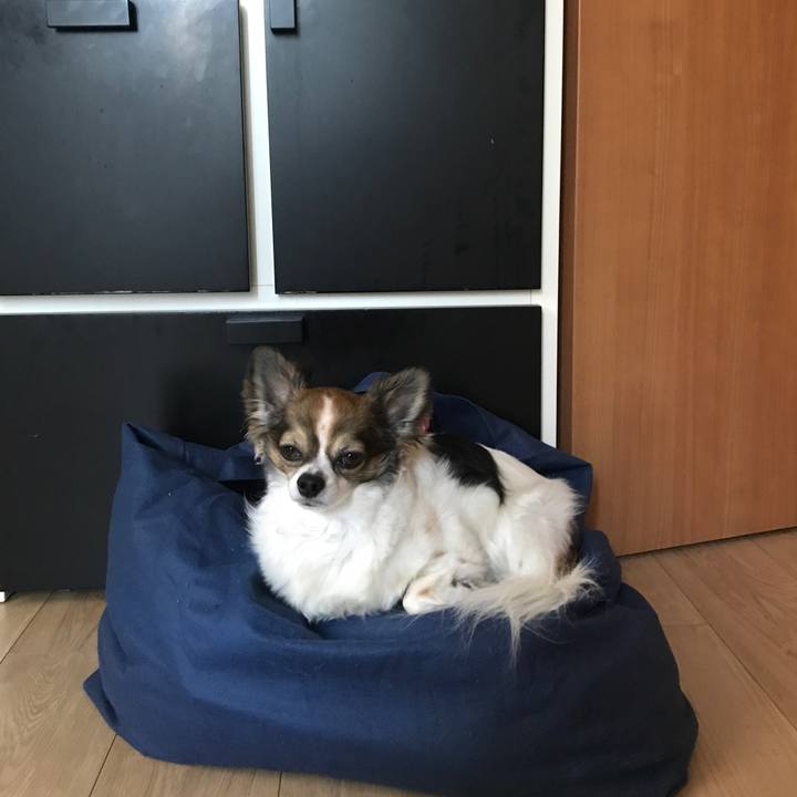 D1085934 0f31 470e b551 2d137b189ff5