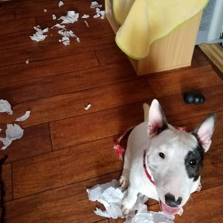 D1097457 a0af 4cc5 8811 43b96a6be542