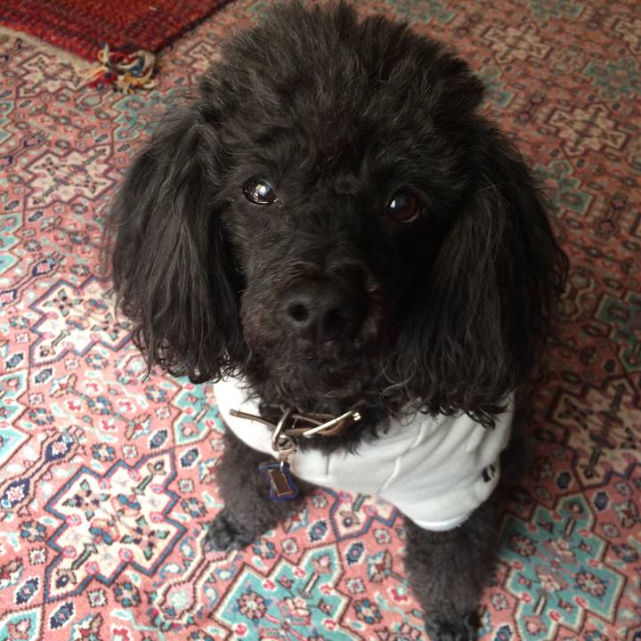 D10a648e be01 42fe 8a2a 0946030305e9