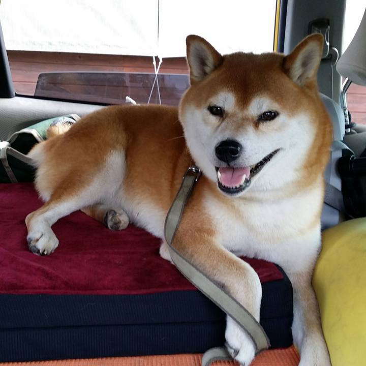 D10a73ee 8f1b 4180 8aa9 91b899c1c142