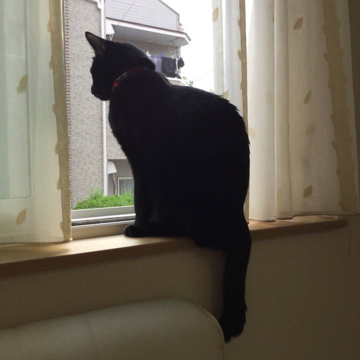 D10ac18a 4134 4056 8e65 e813a64ddf74