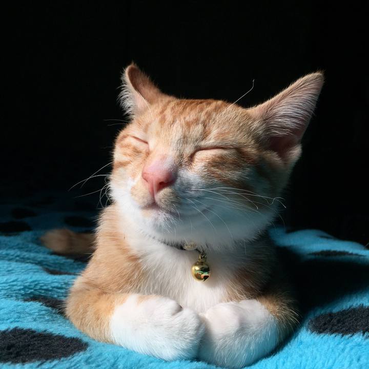 D10aeb25 73f4 49d1 a6b3 c7c3412f6882