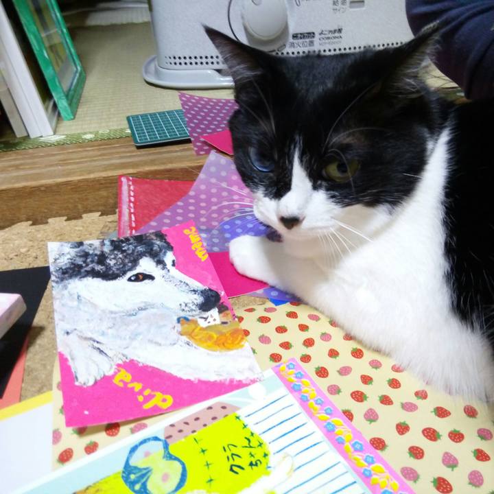 D10b3a90 61ce 46ff 9b16 e6327d868d73