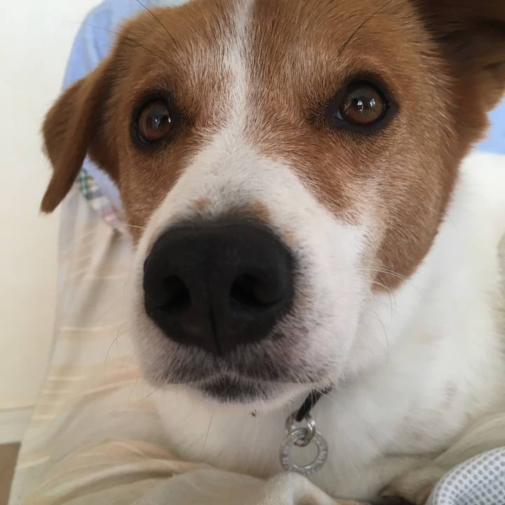 D10b61f0 da0b 4bb5 9981 391b24e7fb84