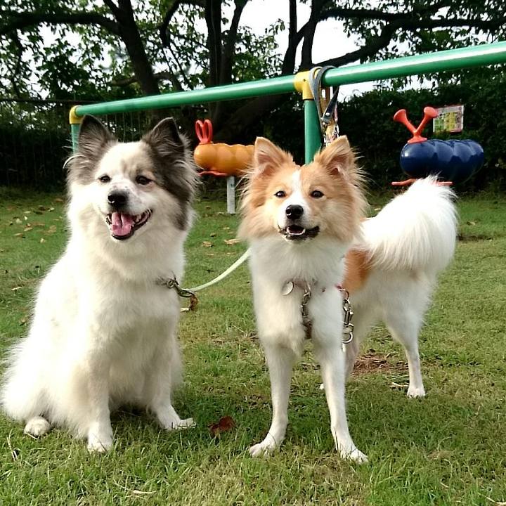 D10bd453 22de 4d4b 9fe0 de01177554a0