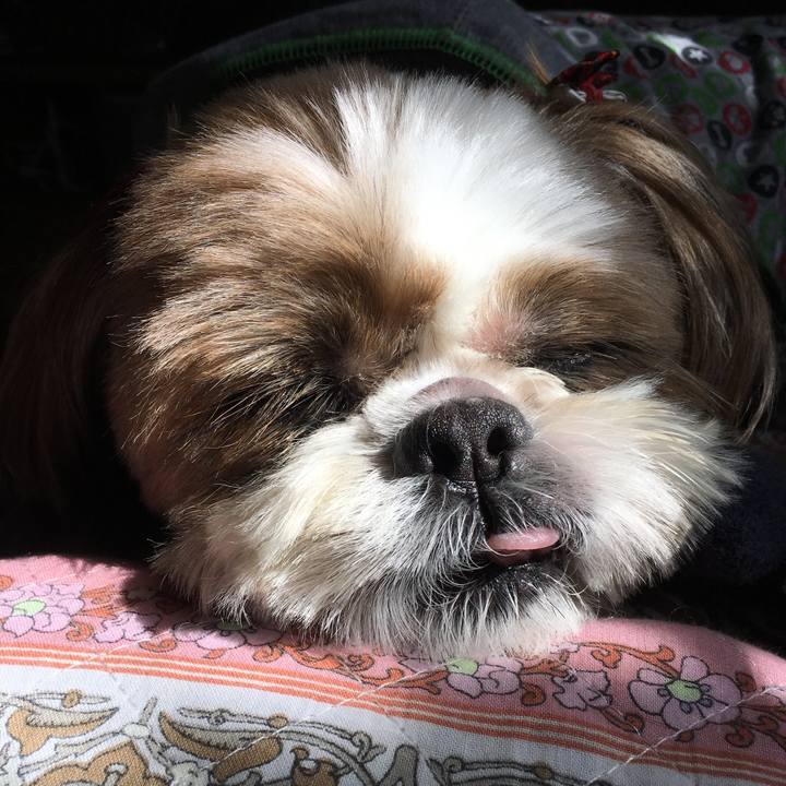 D10c1bc8 a5e5 483d ab0c 4cd5474e5178